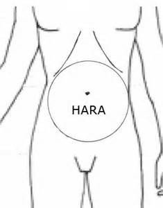 Hara Area of the boody for shiatsu self massage of the stomach