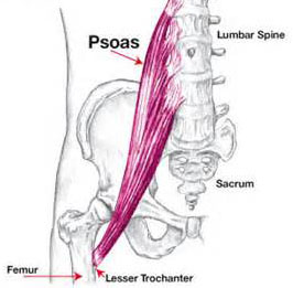Relax your psoas muscle to revieve back pain